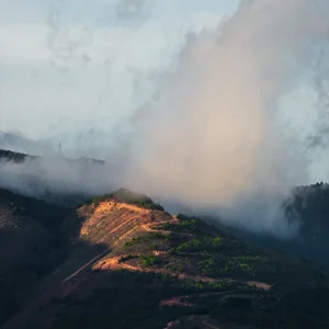 Paisaje Yarigui 2
