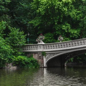 Puente del amor en Central Park 1