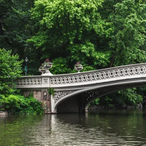 Puente del amor en Central Park 2