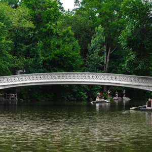 Puente del amor en Central Park 3