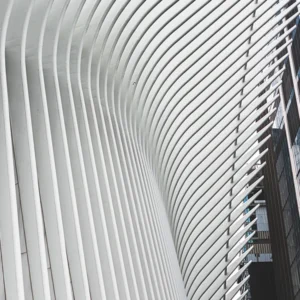 The Oculus 1