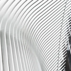 The Oculus 2