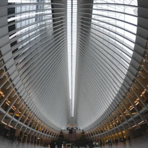 The Oculus 8